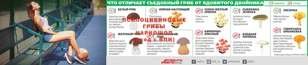 метамфетамин Аркадак