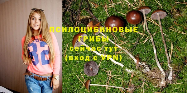 мяу мяу мука Армянск