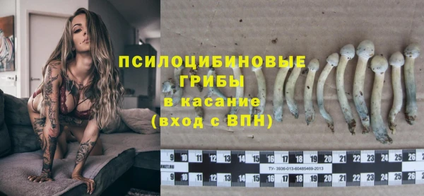 мяу мяу мука Армянск